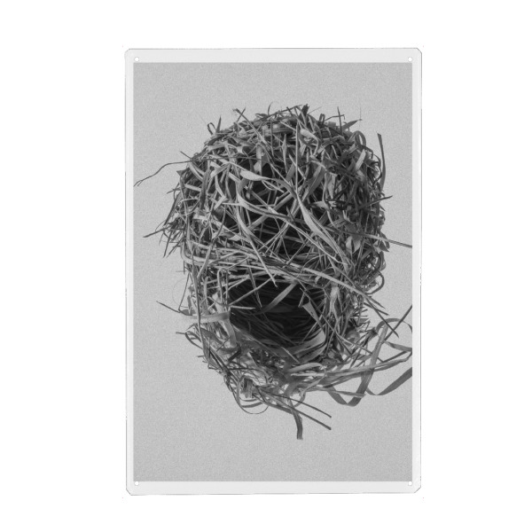 Holzbild "Weavers Nest" artboxONE - Natur,Tiere,Schwarzweiß - Nest,Birds nest,Nature,Black & white,Bird
