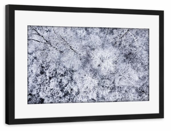 Poster mit Rahmen schwarz "SNOW WHITE NATURE" artboxONE - Natur,Reise,Schwarzweiß - Nature,Snow,White,Forest,Creative,Black,Tree