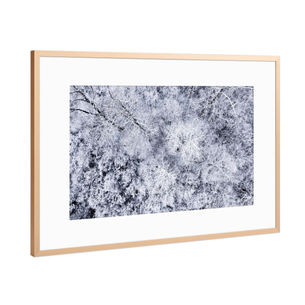 Poster mit Rahmen Kupfer "SNOW WHITE NATURE" artboxONE - Natur,Reise,Schwarzweiß - Nature,Snow,White,Forest,Creative,Black,Tree