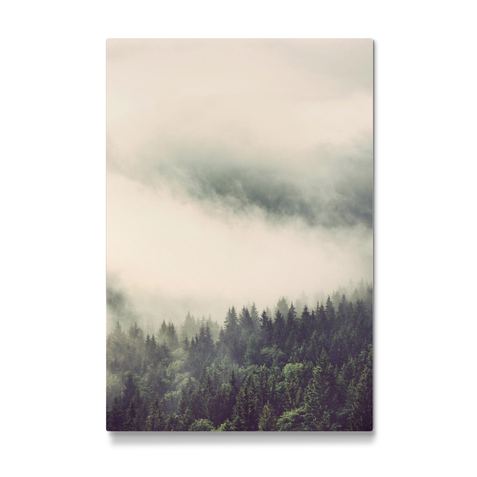 Galerie-Print "Vernebelter Wald" 30x20 cm artboxONE