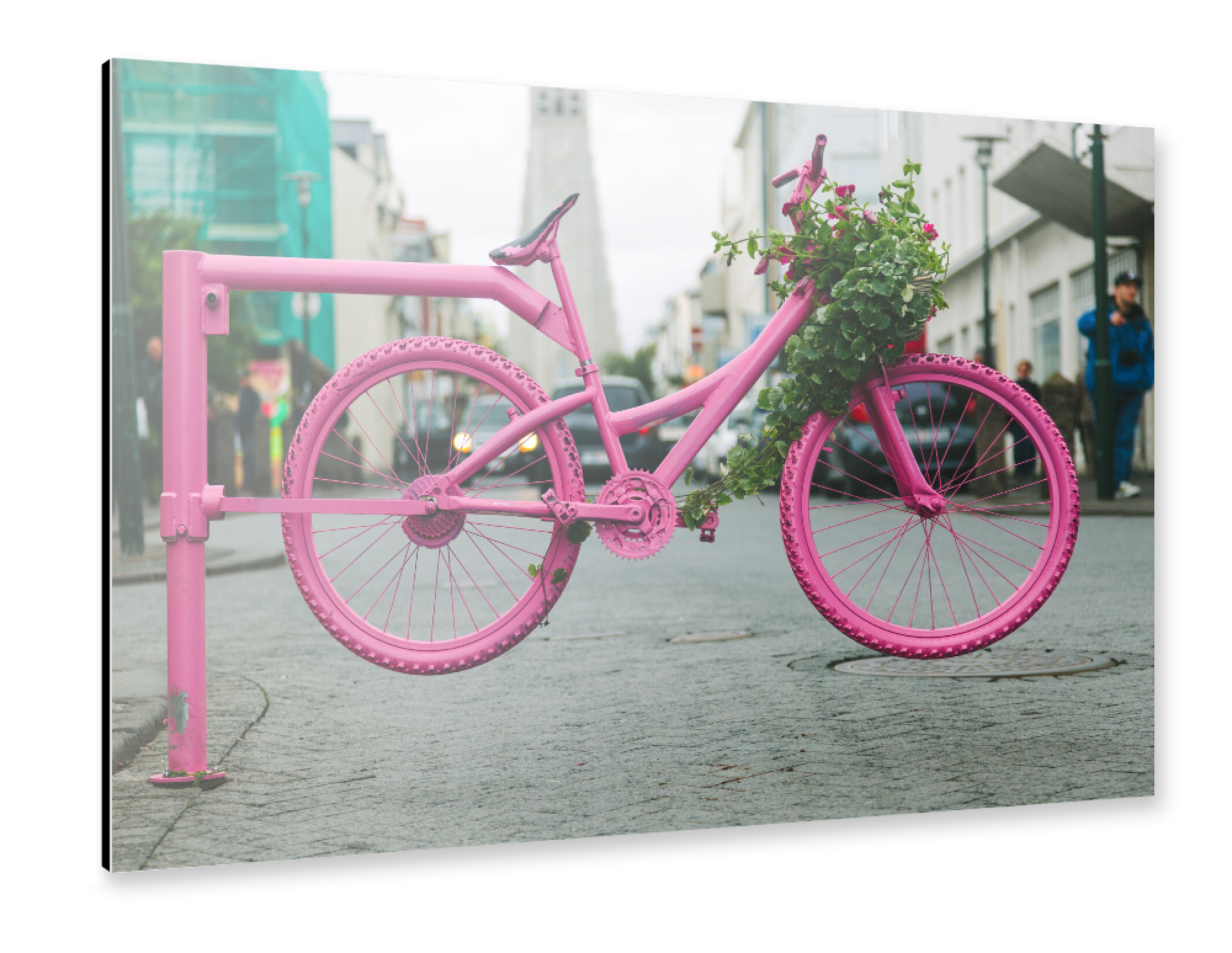Alu-Dibond "Fahrrad Blumenbeet" 75x50 cm artboxONE