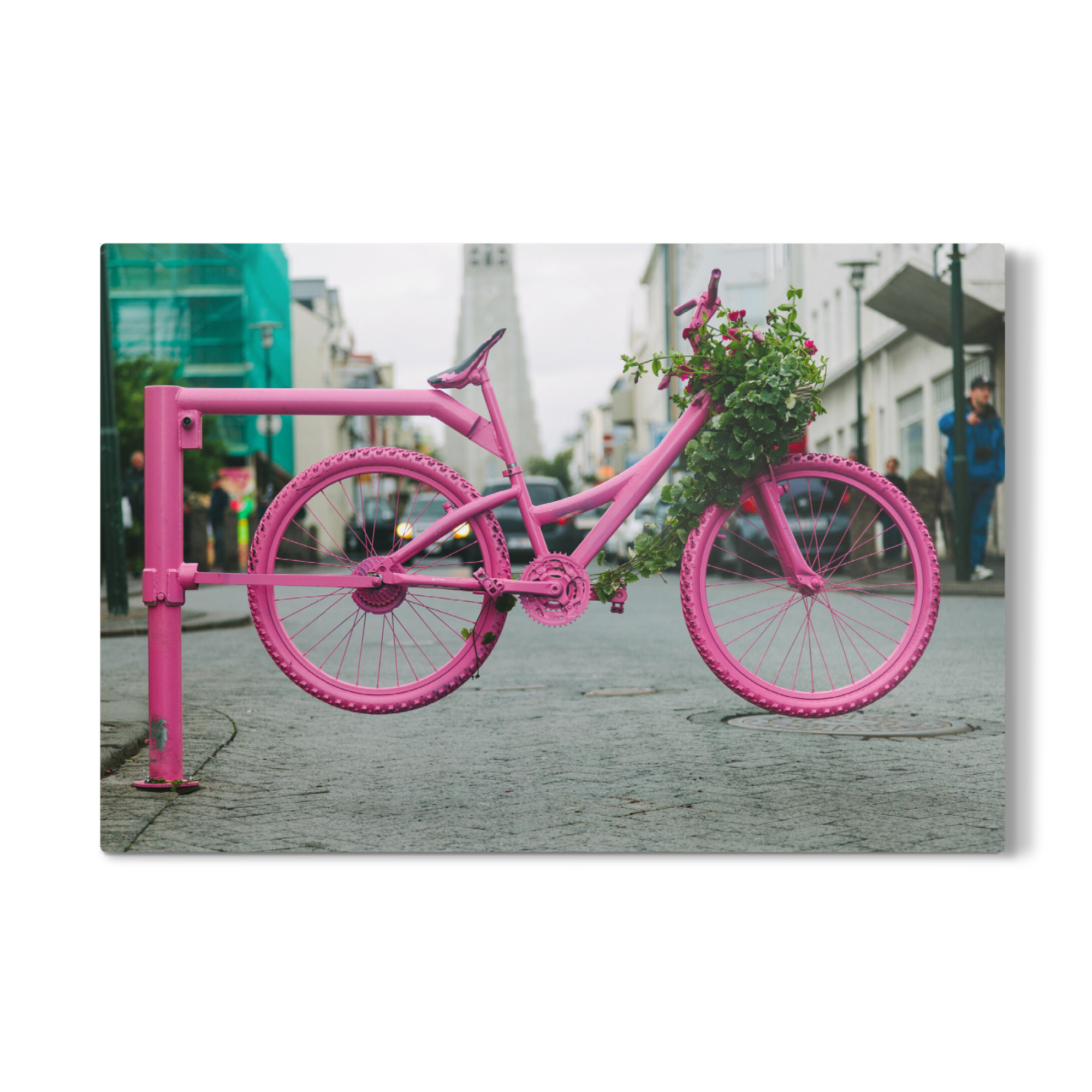Galerie-Print "Fahrrad Blumenbeet" 75x50 cm artboxONE