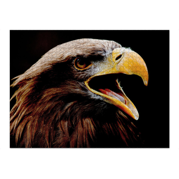 Puzzle Ravensburger "Adler" artboxONE - Natur,Tiere - Adler,Eagle,Greifvogel,Vogel,Schwarz,Fotografie,Tier - Bild adler