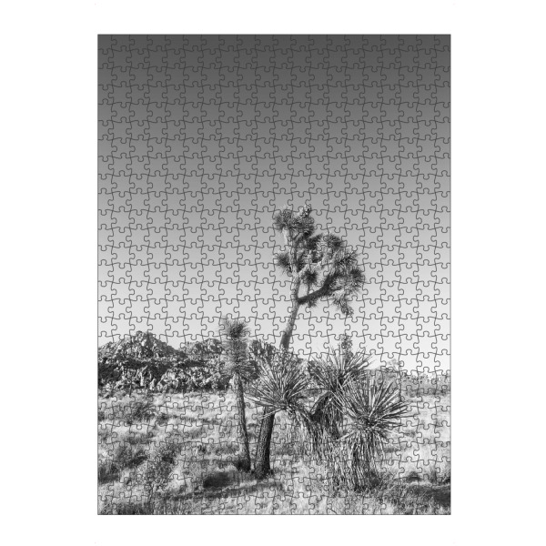 artboxONE Puzzle "Joshua Tree Monochrom" artboxONE - Natur,Schwarzweiß