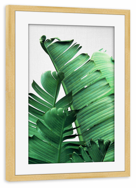 Poster mit Rahmen kiefer "Banana Leaves Close Up" artboxONE - Natur,Floral