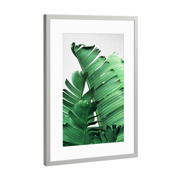 Poster mit Rahmen Silber "Banana Leaves Close Up" artboxONE - Natur,Floral