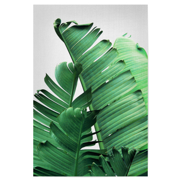Poster "Banana Leaves Close Up" artboxONE - Natur,Floral - Tropical,Nature,Leaf,Leaves,Floral,Botanical,Summer,Palm,Jungle,Tree,Garden,Exotic,Plants