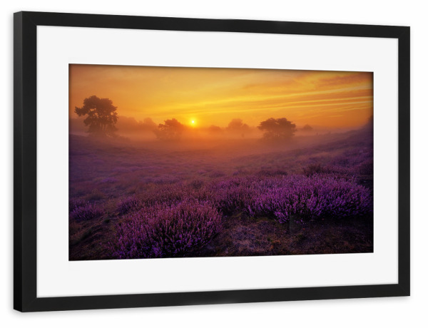 Poster mit Rahmen schwarz "Westruper Heide" artboxONE - Natur,Reise