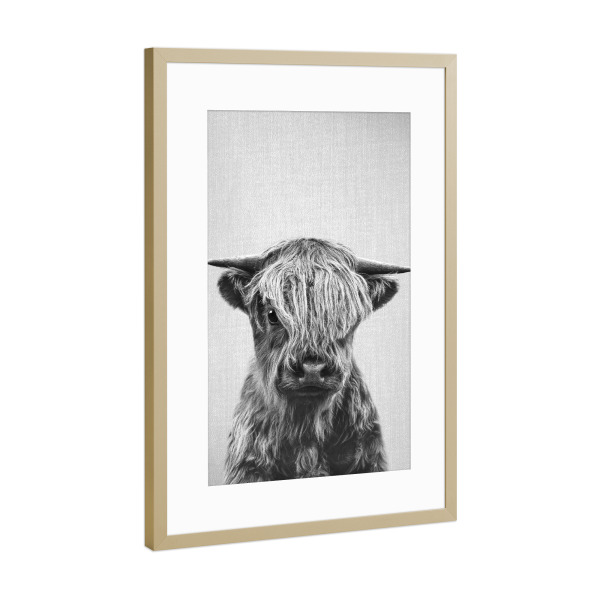 Poster mit Rahmen Gold "Highland Calf - Black & White" artboxONE - Natur,Für Kinder,Tiere,Schwarzweiß,Lustig