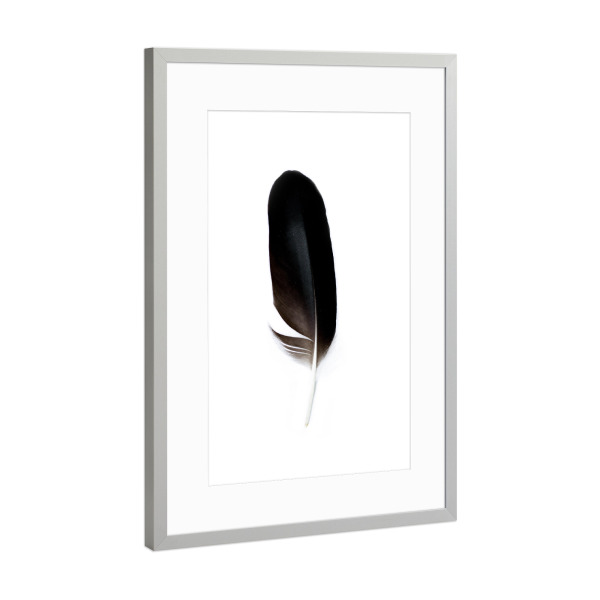 Poster mit Rahmen Silber "Bird Feathers Spirit ll" artboxONE - Natur,Tiere