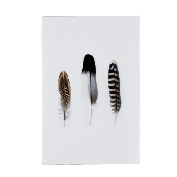 Holzbild "Three Bird feather Spirits" artboxONE - Natur,Tiere