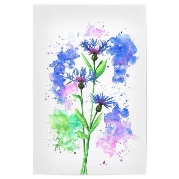 Poster 30x20 cm "Flockenblumen Explosion" artboxONE - Floral