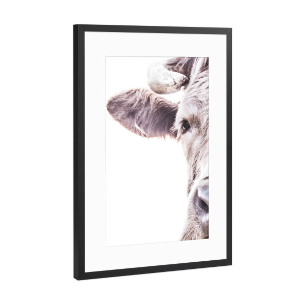 Poster mit Rahmen Schwarz (Metallic) "Brown Highland Cow" artboxONE - Tiere
