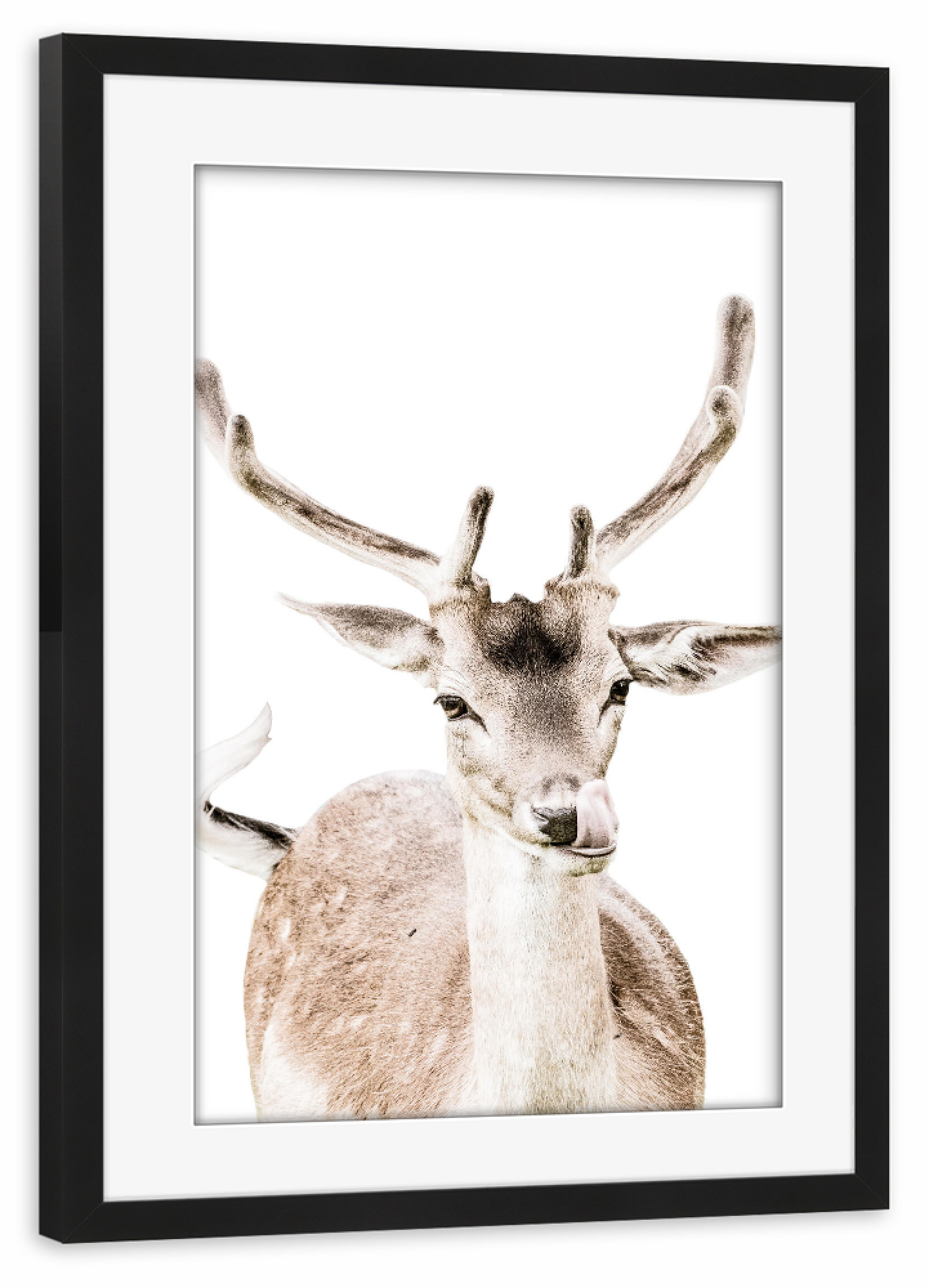 Poster mit Rahmen schwarz "Deer I" artboxONE - Natur,Tiere