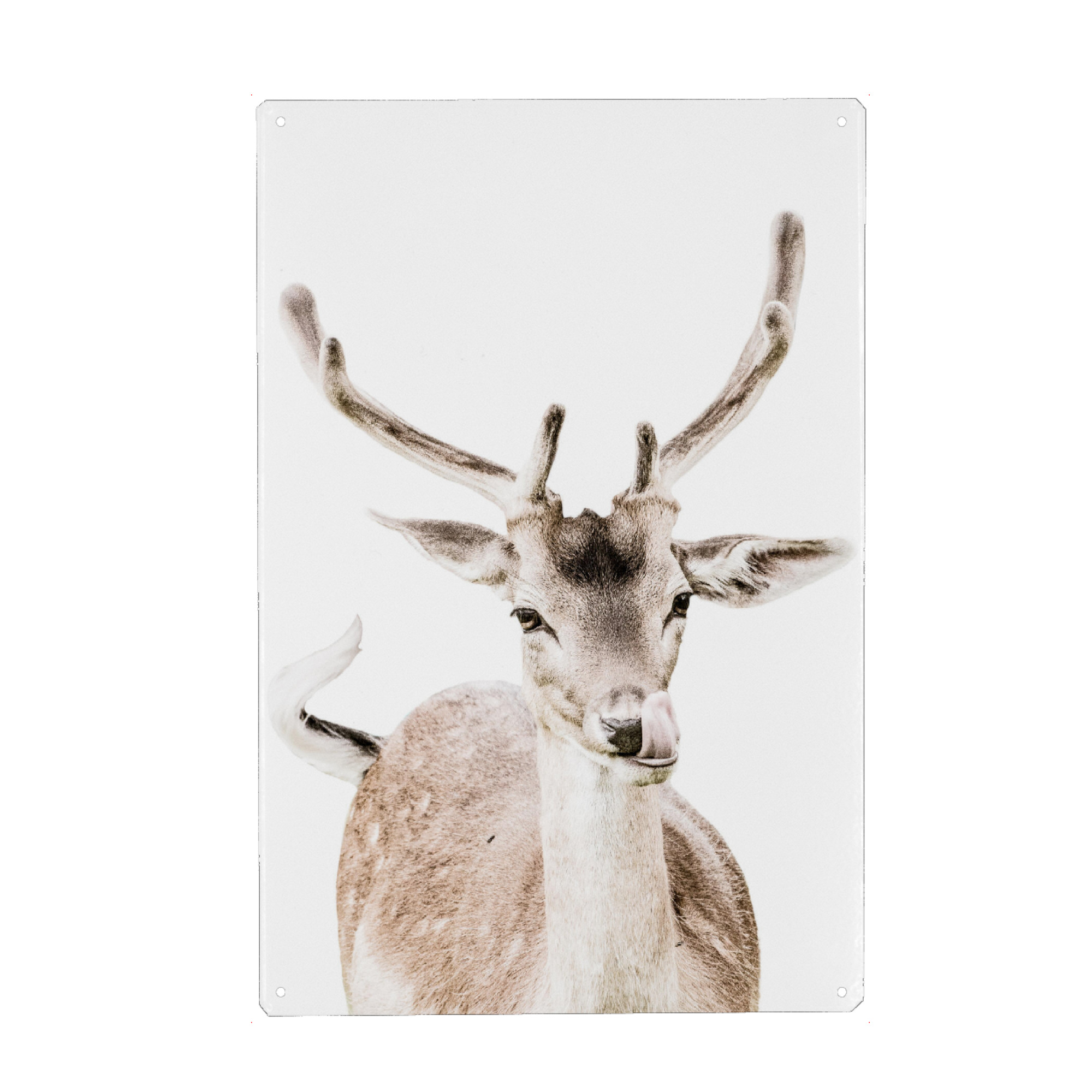 Metall Poster "Deer I" artboxONE - Natur,Tiere
