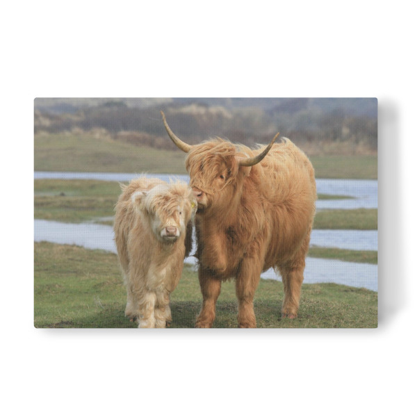 Leinwandbild "Highland Rinder" artboxONE - Tiere - Natur,Rind,Rinder,Schottisch,Highland,Berge