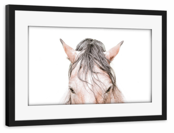 Poster mit Rahmen schwarz "Horses lll" artboxONE - Natur,Tiere