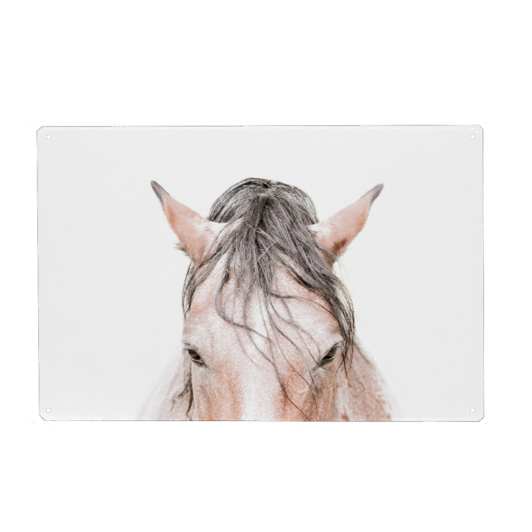 Holzbild "Horses lll" artboxONE - Natur,Tiere - Horses,Horse,Head,Animal,Farm,Photograph,Portrait,Nose,Ears,Mouth,Face,Scandi,Pet,Hair,Closeup