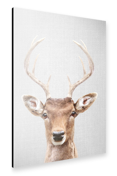 Alu-Dibond "Deer 2 - Colorful" 30x20 cm artboxONE