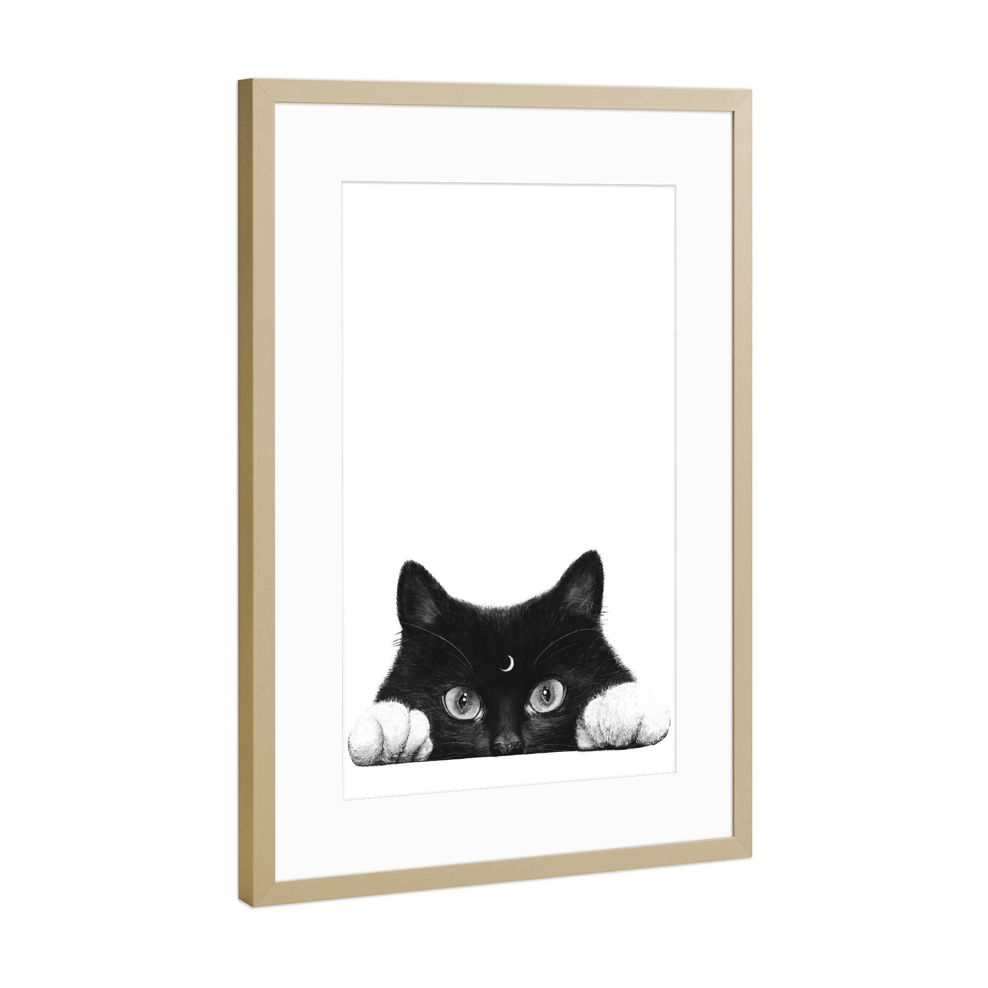 Poster mit Rahmen Gold "Night cat" artboxONE - Tiere,Schwarzweiß,Lustig - Cat,Cats,Black and white,Cute,Lovely,Animal,Moon,Night