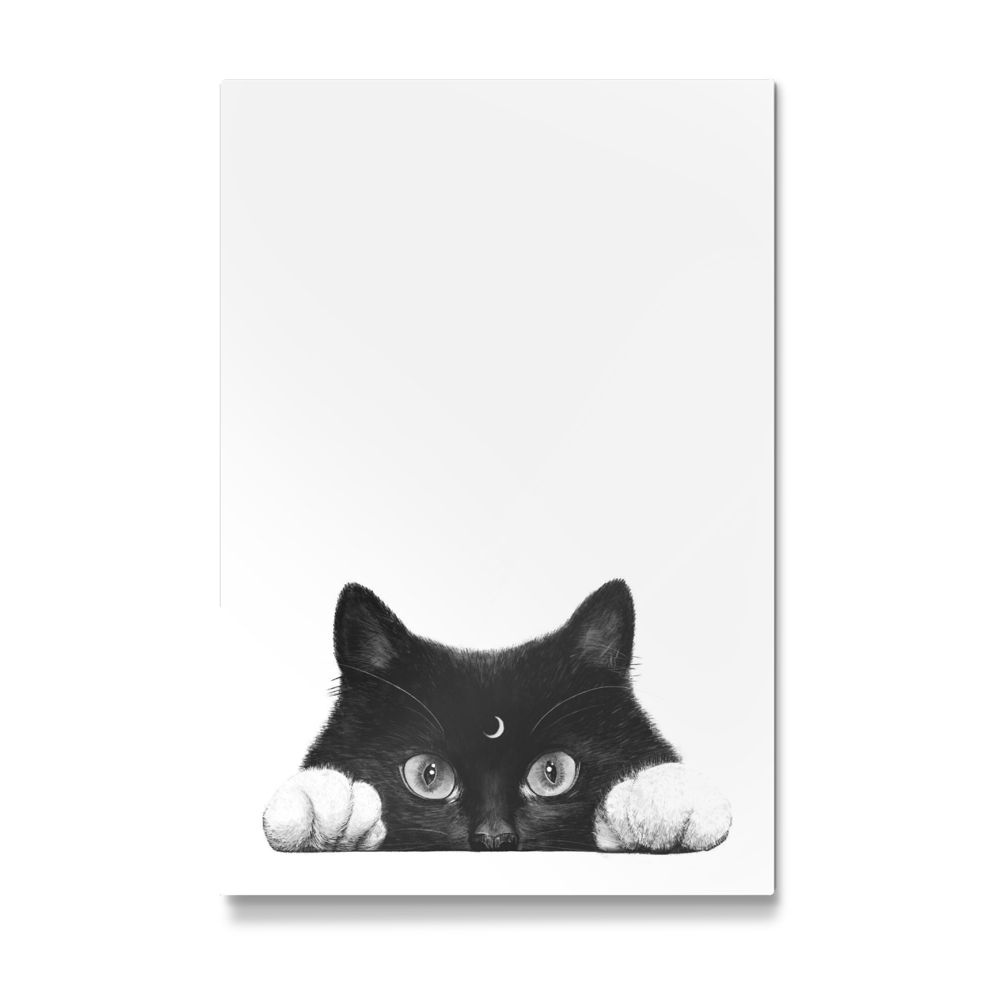 Galerie-Print "Night cat" 75x50 cm artboxONE