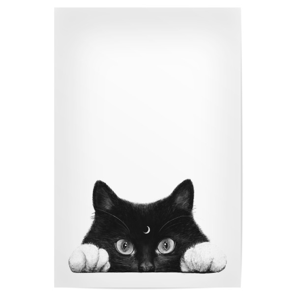 Poster 30x20 cm "Night cat" artboxONE - Tiere,Schwarzweiß,Lustig - Cat,Cats,Black and white,Cute,Lovely,Animal,Moon,Night