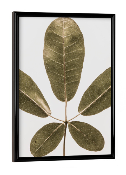 Poster mit schwarzem Rahmen "Autum Leaf" artboxONE - Natur,Floral - Leaf,Minimalist,Nature,Floral,Botanical,Botanical print,Tree