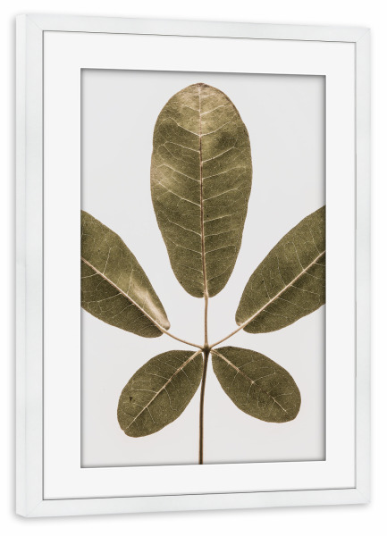 Poster mit Rahmen weiß "Autum Leaf" artboxONE - Natur,Floral - Leaf,Minimalist,Nature,Floral,Botanical,Botanical print,Tree
