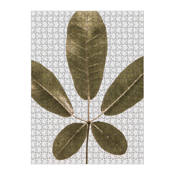 Puzzle Ravensburger "Autum Leaf" artboxONE - Natur,Floral - Leaf,Minimalist,Nature,Floral,Botanical,Botanical print,Tree - Bild leaf
