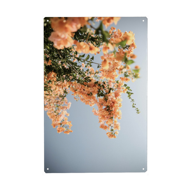 Holzbild "Assos Blooms" artboxONE - Natur,Floral - Bougainvillea,Flower,Floral,Tropical,Island,Assos,Nature,Sunshine,Summer