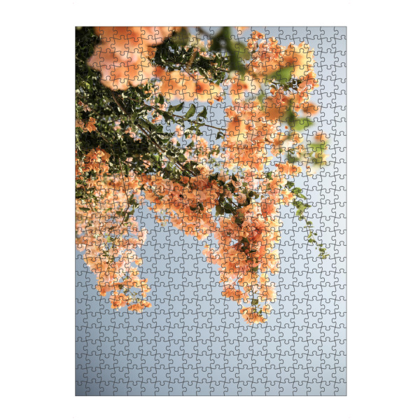 Puzzle Ravensburger "Assos Blooms" artboxONE - Natur,Floral - Bougainvillea,Flower,Floral,Tropical,Island,Assos,Nature,Sunshine,Summer