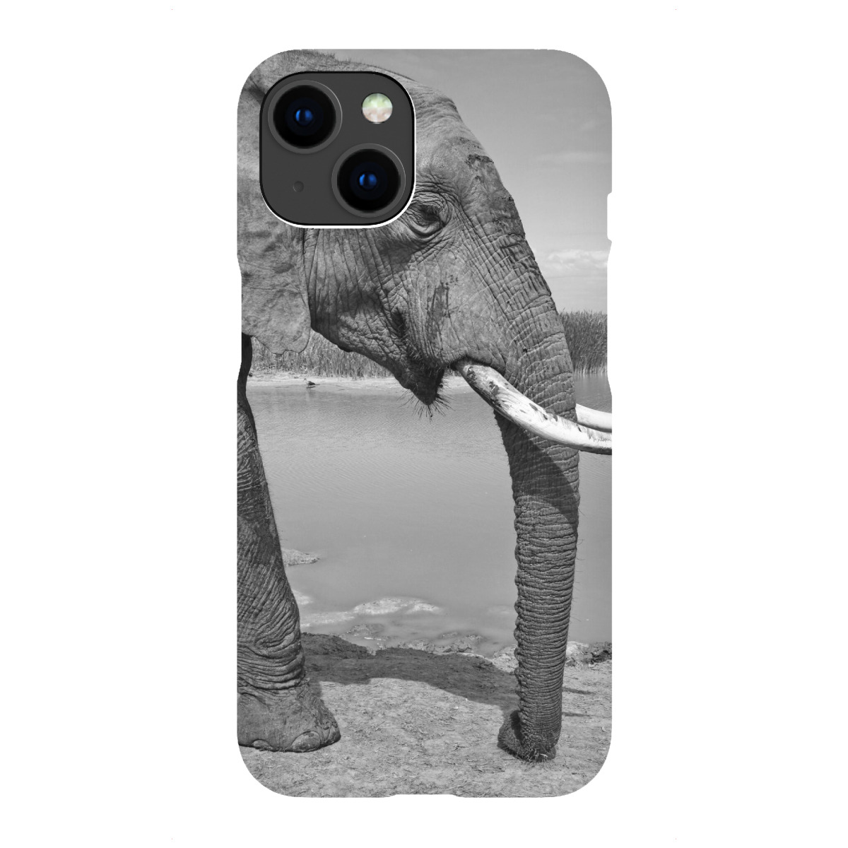 iPhone "Elefant von links" Premium-Case Handyhülle artboxONE