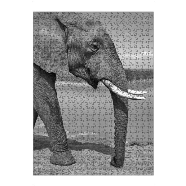 Puzzle Ravensburger "Elefant von links" artboxONE - Natur,Tiere,Schwarzweiß,Reise / Afrika - Elefant,Afrika,Portrait,Animal - Bild elefant