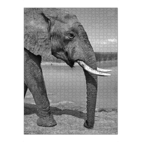 Puzzle Ravensburger "Elefant von links" artboxONE - Natur,Tiere,Schwarzweiß,Reise / Afrika - Elefant,Afrika,Portrait,Animal - Bild elefant