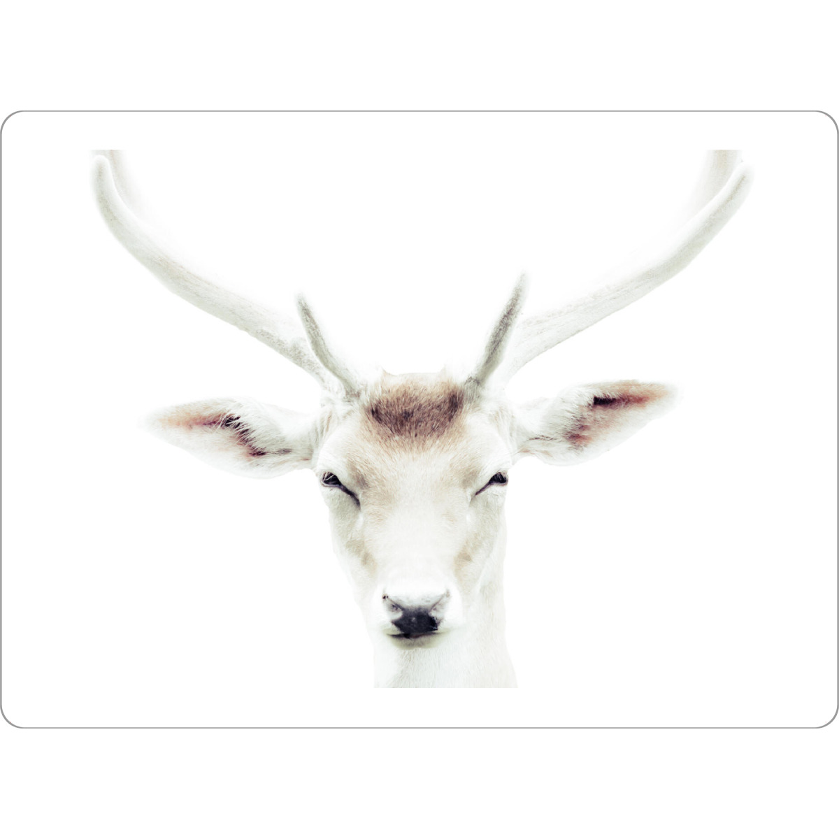 Tischset "Deers head" artboxONE - Natur,Tiere,Weihnachten - Deer,Animal,Antlers,Portrait,Nature,Wildlife,Wild,Country,Animals,Christmas,Xmas,Closeup