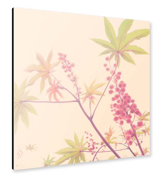 Alu-Dibond "Herbst.zeit.los" 30x30 cm artboxONE