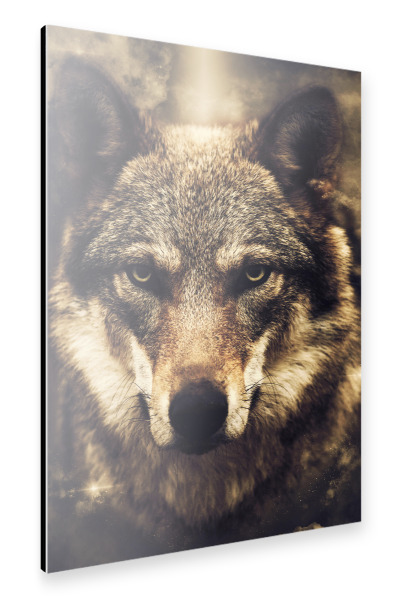 Alu-Dibond "Brown Wolf (matart)" 30x20 cm artboxONE