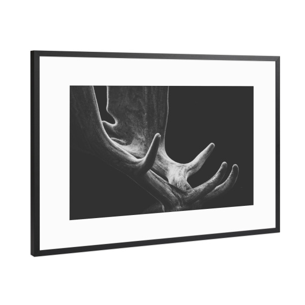 Poster mit Rahmen Schwarz (Metallic) "Geweih" artboxONE - Natur,Tiere,Weihnachten