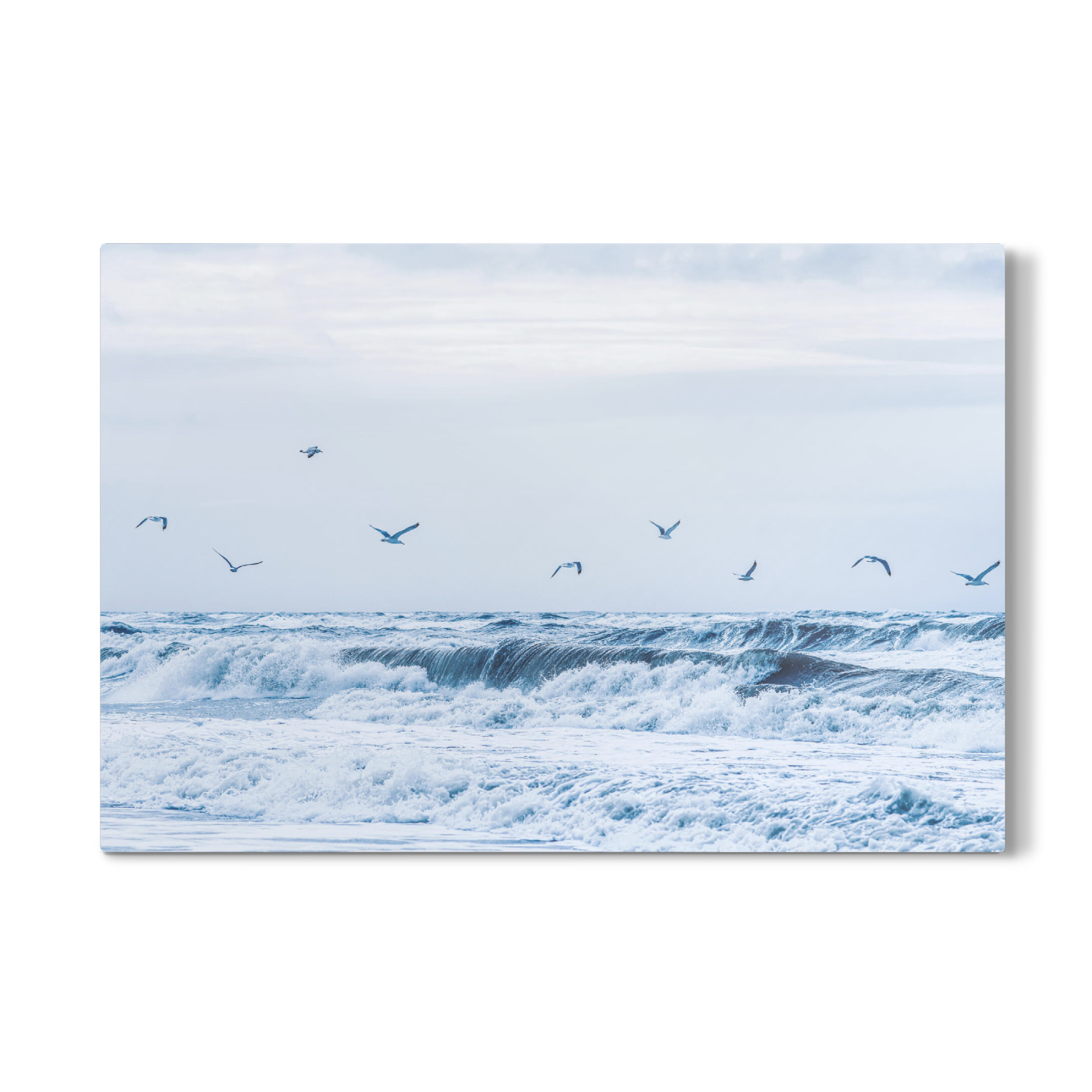 Galerie-Print "Möwen über der Gischt" 75x50 cm artboxONE