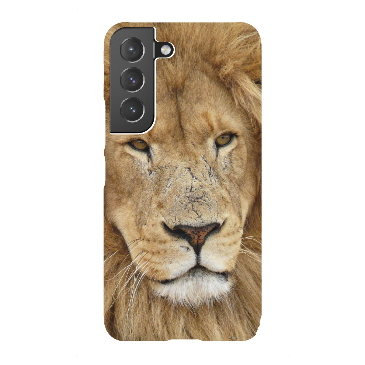 "Löwen Männchen im Portrait"für Samsung Galaxy - Premium-Case Handyhülle artboxONE