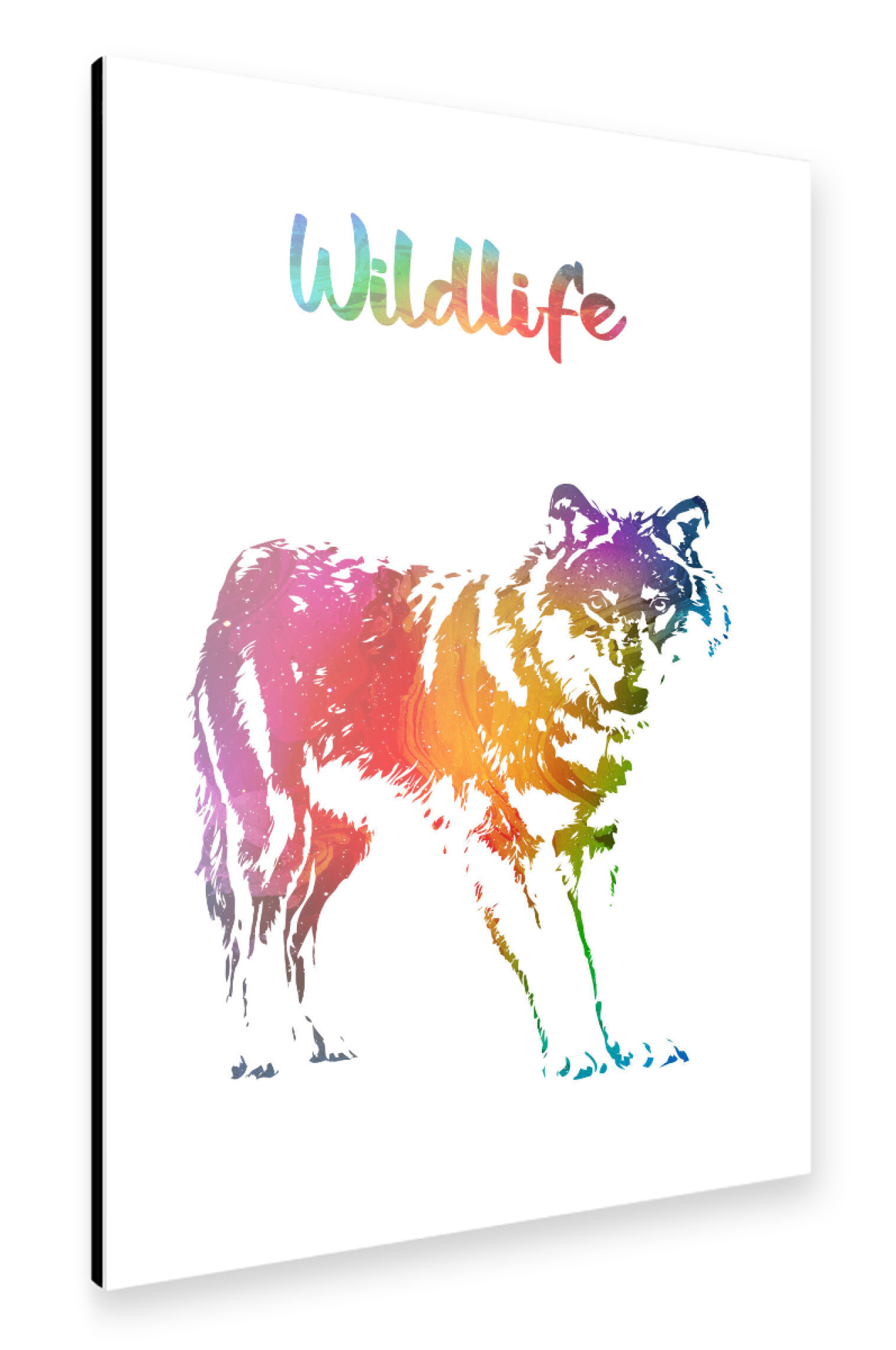 Alu-Dibond "Wilder Wolf" 75x50 cm artboxONE