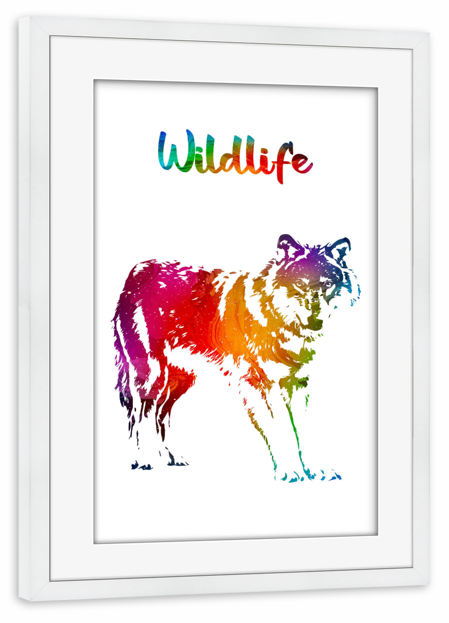 Poster mit Rahmen weiß "Wilder Wolf" artboxONE - Tiere - Tiere,Zoo,Wild,Wald,Natur,Wildlife,Bunt