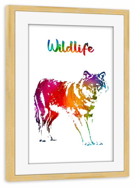 Poster mit Rahmen kiefer "Wilder Wolf" artboxONE - Tiere - Tiere,Zoo,Wild,Wald,Natur,Wildlife,Bunt