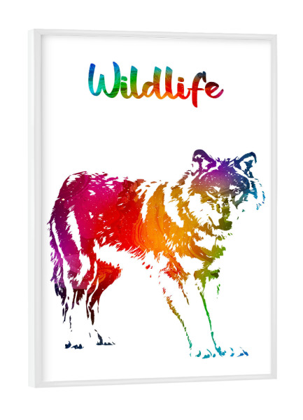 Poster mit weißem Rahmen "Wilder Wolf" artboxONE - Tiere - Tiere,Zoo,Wild,Wald,Natur,Wildlife,Bunt