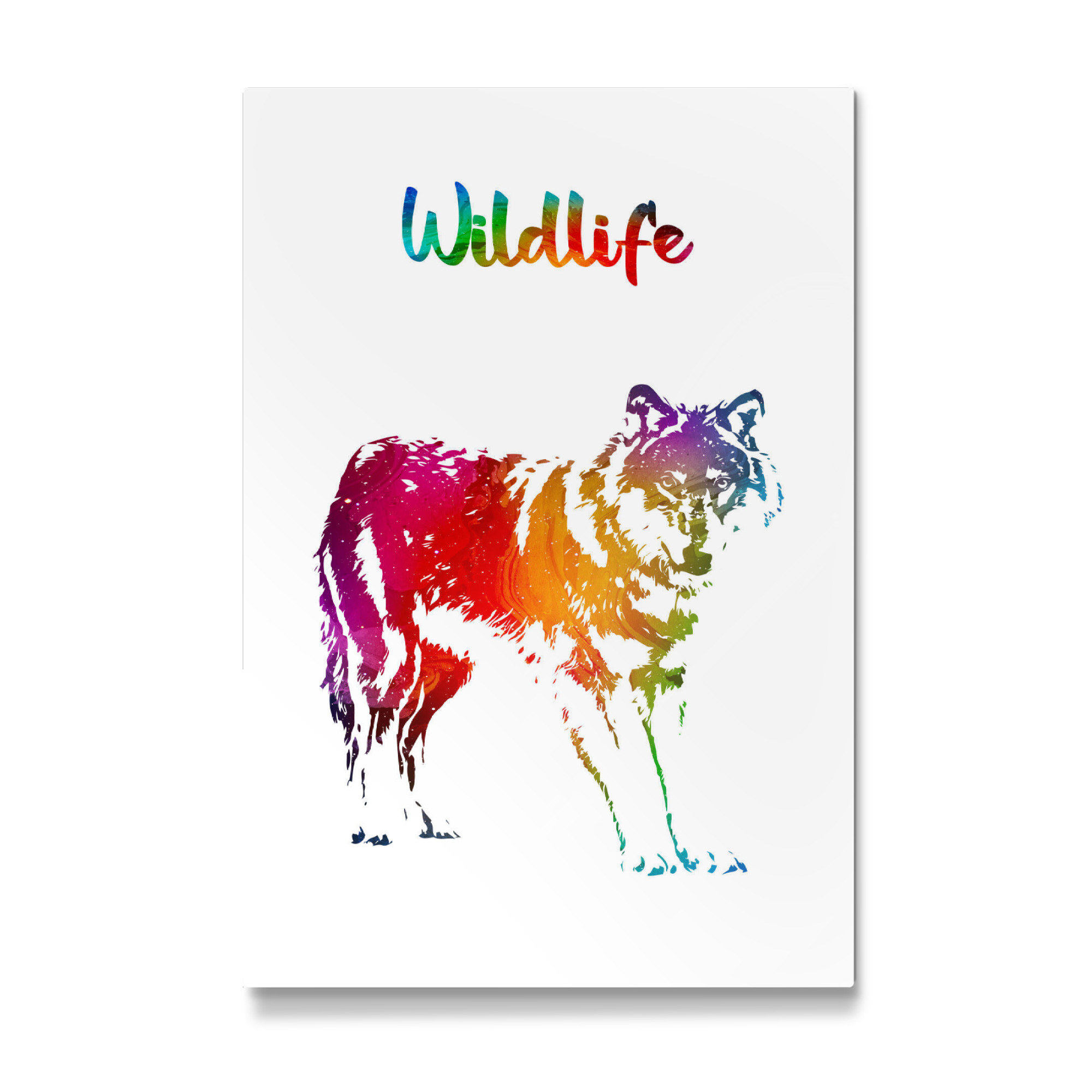 Galerie-Print "Wilder Wolf" 75x50 cm artboxONE