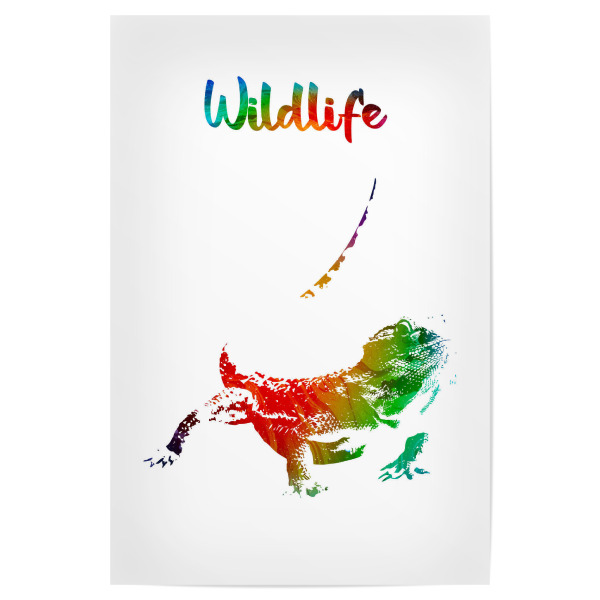 Poster 30x20 cm "Bartagame" artboxONE - Tiere - Tiere,Echsen,Zoo,Australien,Kinder,Natur,Wildlife,Haustier,Terrarium