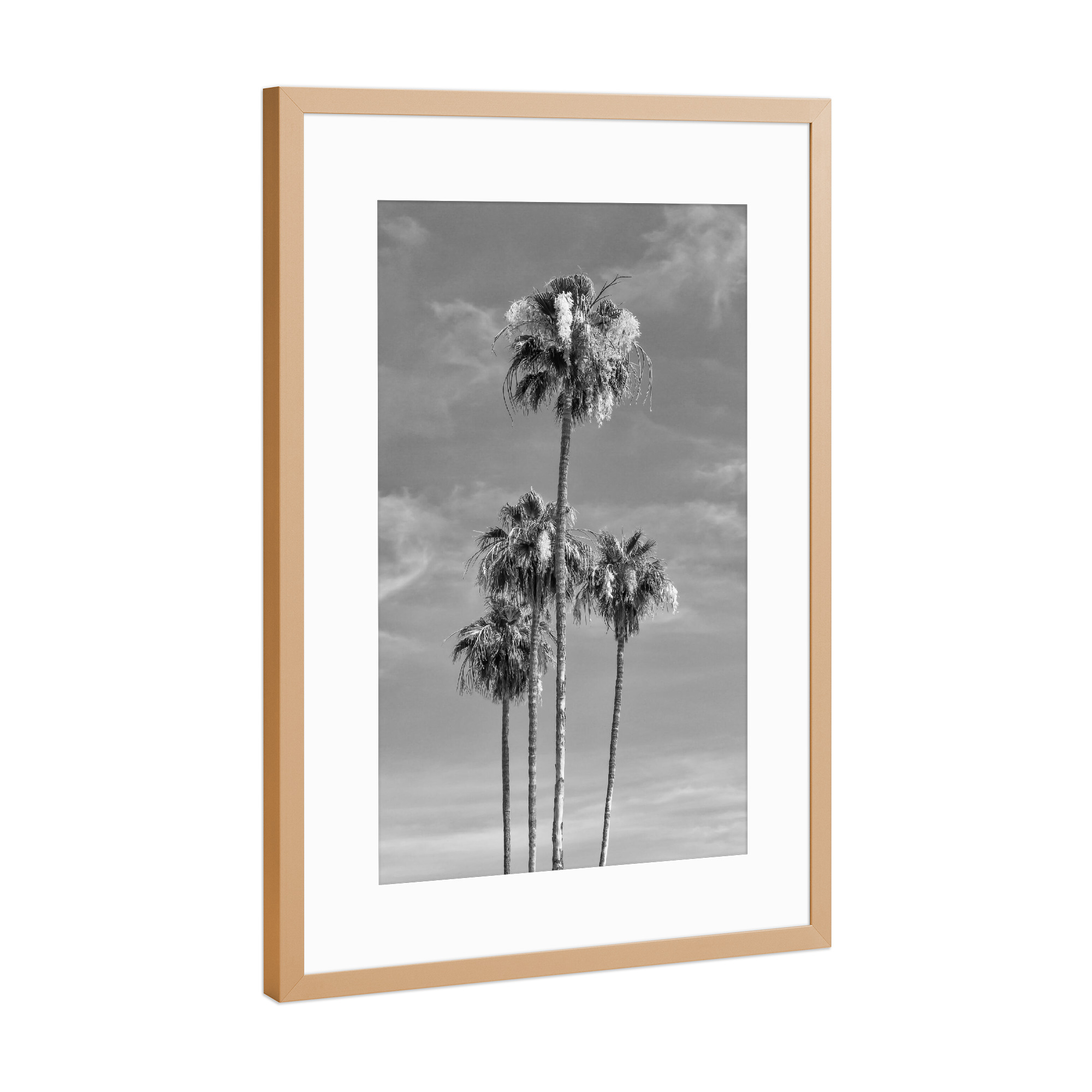 Poster mit Rahmen Kupfer "Palmenhimmel" artboxONE - Natur,Schwarzweiß