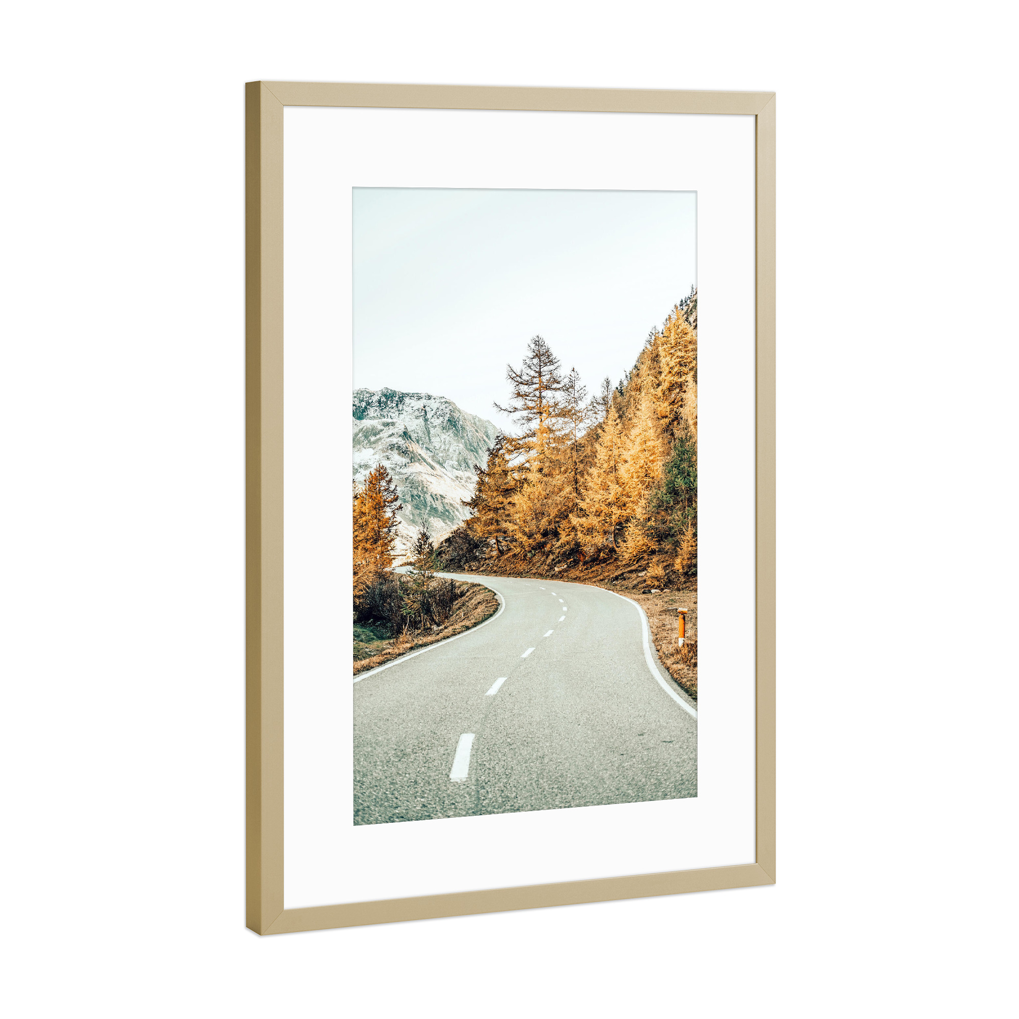 Poster mit Rahmen Gold "Snow and Golden Pine" artboxONE - Natur