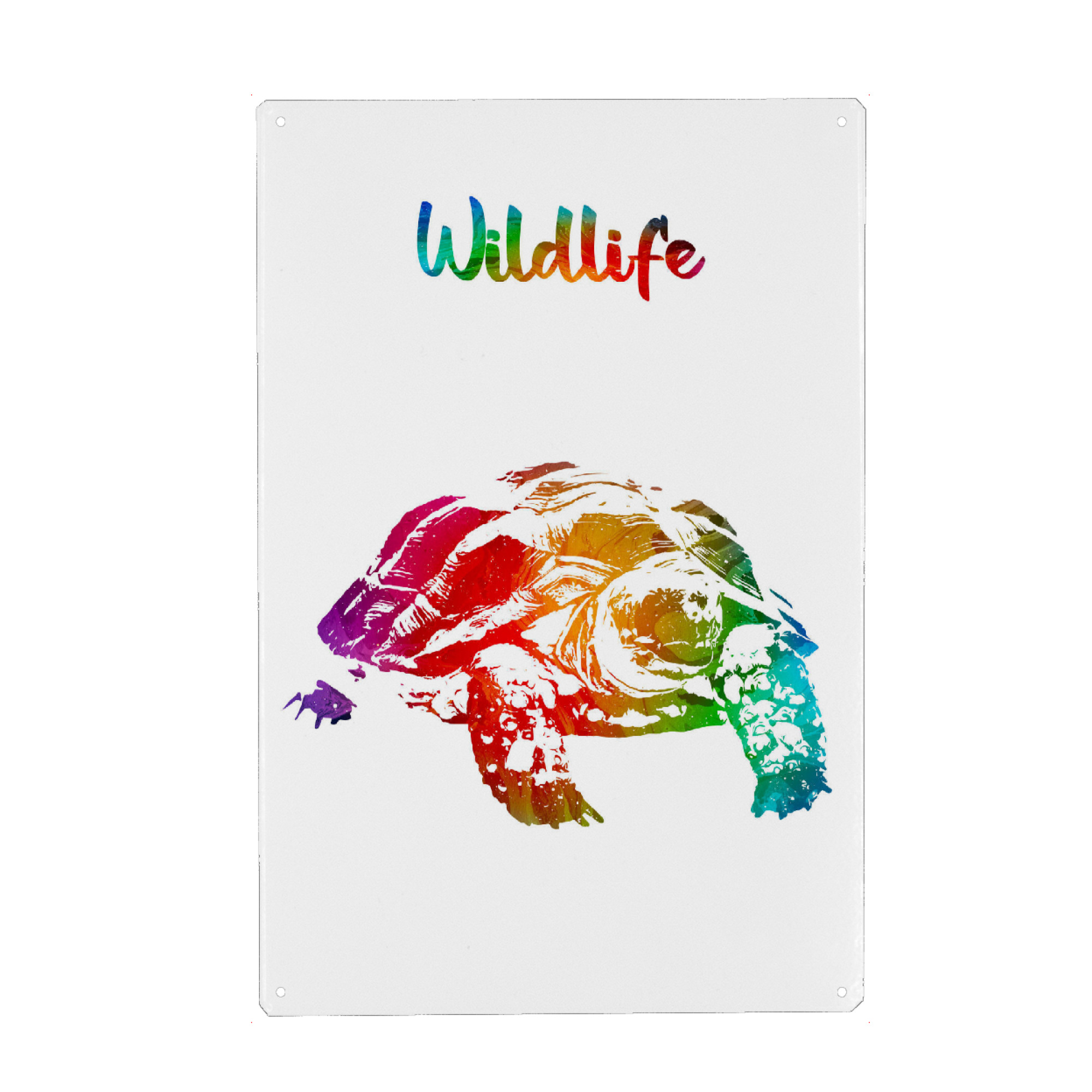 Metall Poster "Alte Schildkröte" artboxONE - Tiere - Tiere,Zoo,Wild,Kinder,Familie,Natur,Wildlife,Gehege,Haustier,Terrarium,Bunt - Blechschild