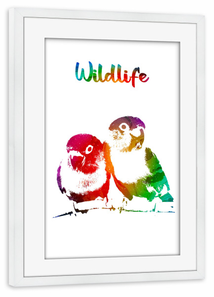 Poster mit Rahmen weiß "Liebesvogel" artboxONE - Tiere - Tiere,Zoo,Wild,Kinder,Familie,Natur,Vögel,Wildlife,Haustier,Papagei,Bunt